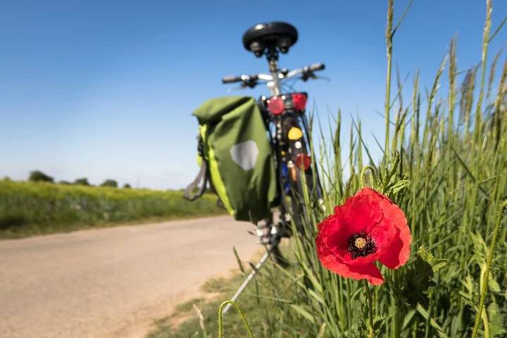 Bourse aux vélos ; Seillans