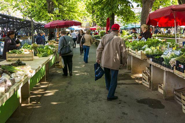 Les brèves du Pays de Grasse Historique Concerts, Fête, marchés ou marche nocturne à vous de choisir !