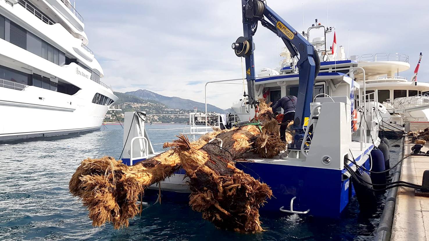 les ports Hercule et Fontvieille fermés et nettoyés