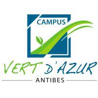 logo, études