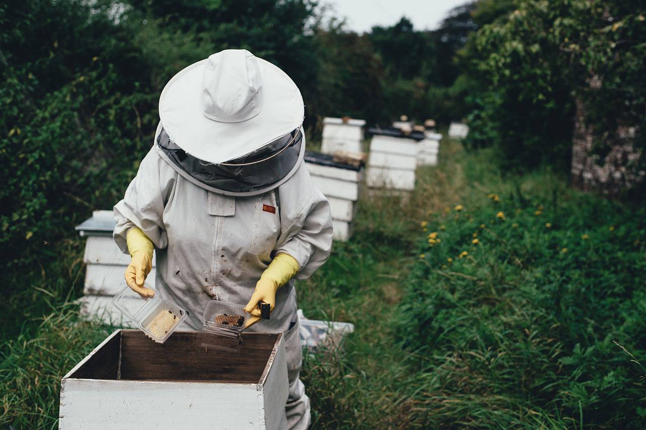 Apiculture amateure du Pays de Grasse