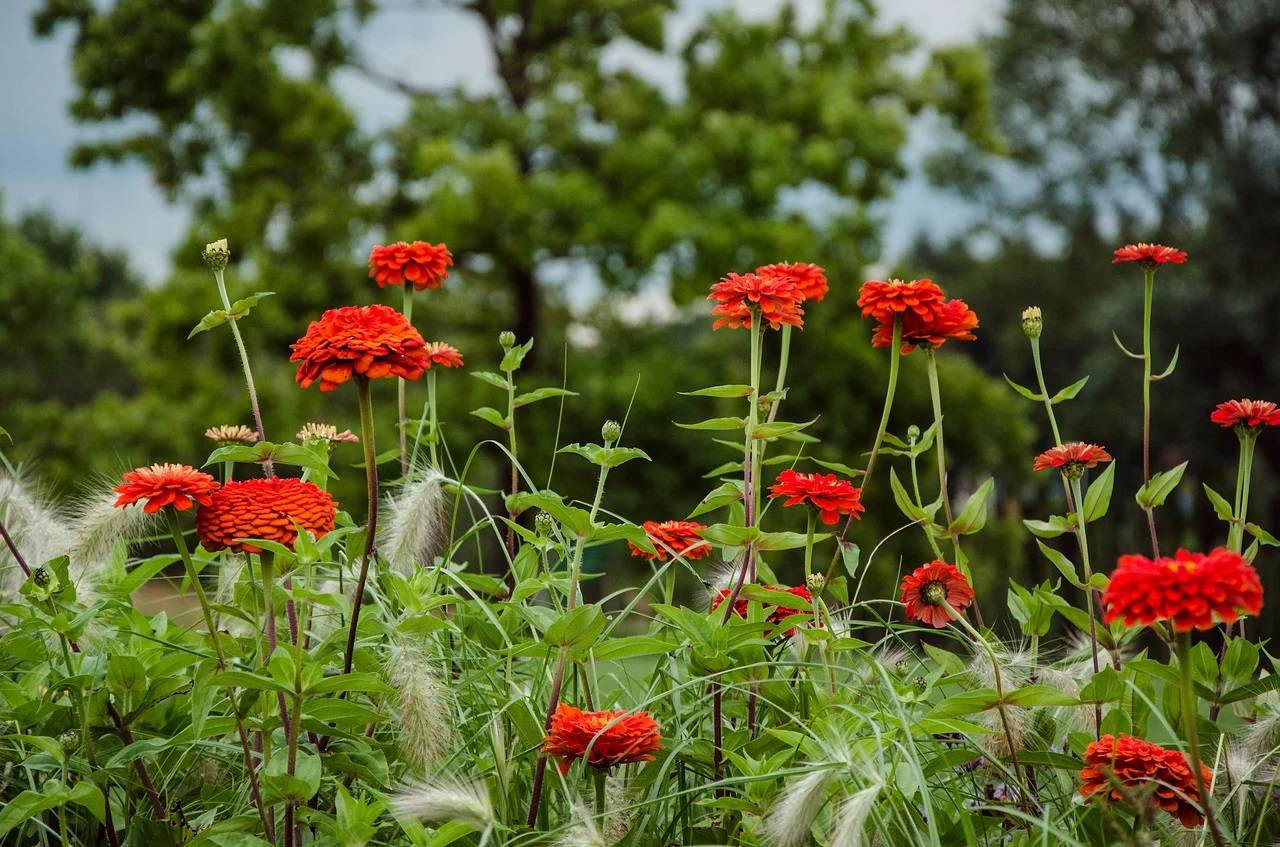 Le Val Claret : Un Nouveau Jardin Partagé pour les Antibois Entre Nature et Convivialité