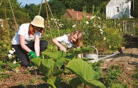 Jardinage Collectif à Grasse :