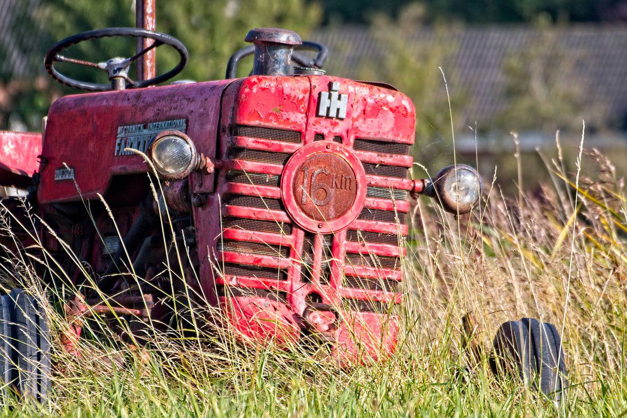 Foire Agricole de Caille