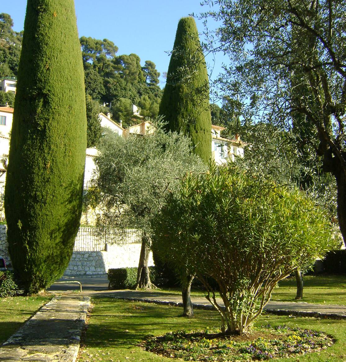 Concours Photo Biodiversité, Grasse