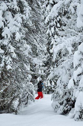 Randonnée raquettes : Le Puy d’Auron