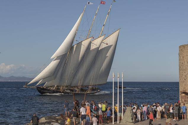 Les Voiles de Saint-Tropez