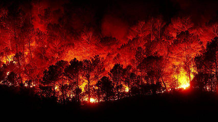 Observatoire post-incendie feux de forêts ; Côte d'Azur ; ONF ; La Garde-Freinet, Le Luc, Vidauban, Les Mayons, Le Cannet-des-Maures, La Môle, Grimaud, Cogolin