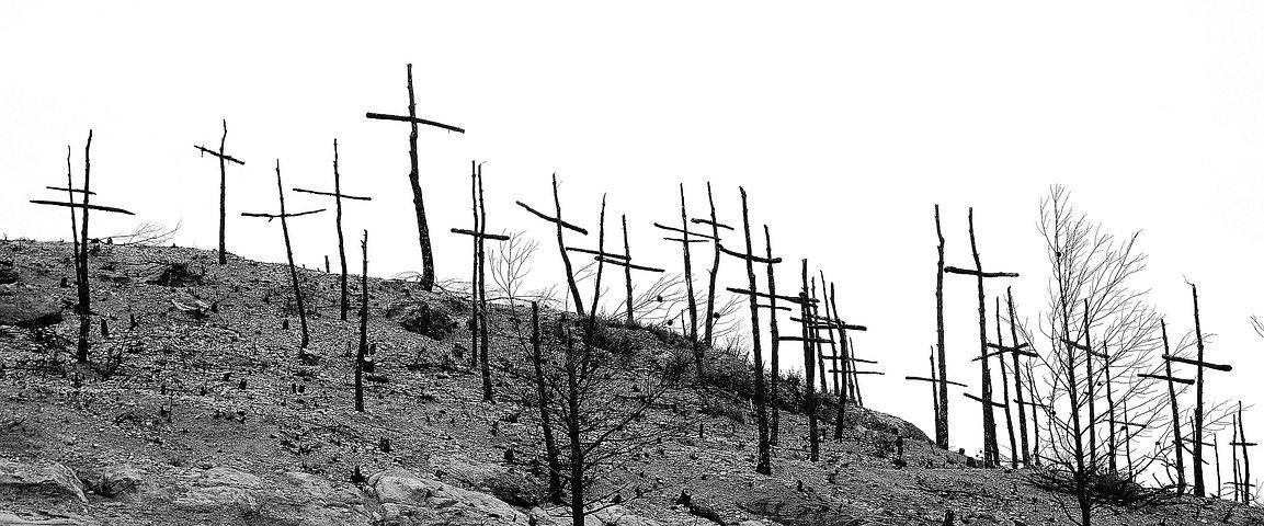 Observatoire post-incendie feux de forêts ; Côte d'Azur ; ONF ; La Garde-Freinet, Le Luc, Vidauban, Les Mayons, Le Cannet-des-Maures, La Môle, Grimaud, Cogolin