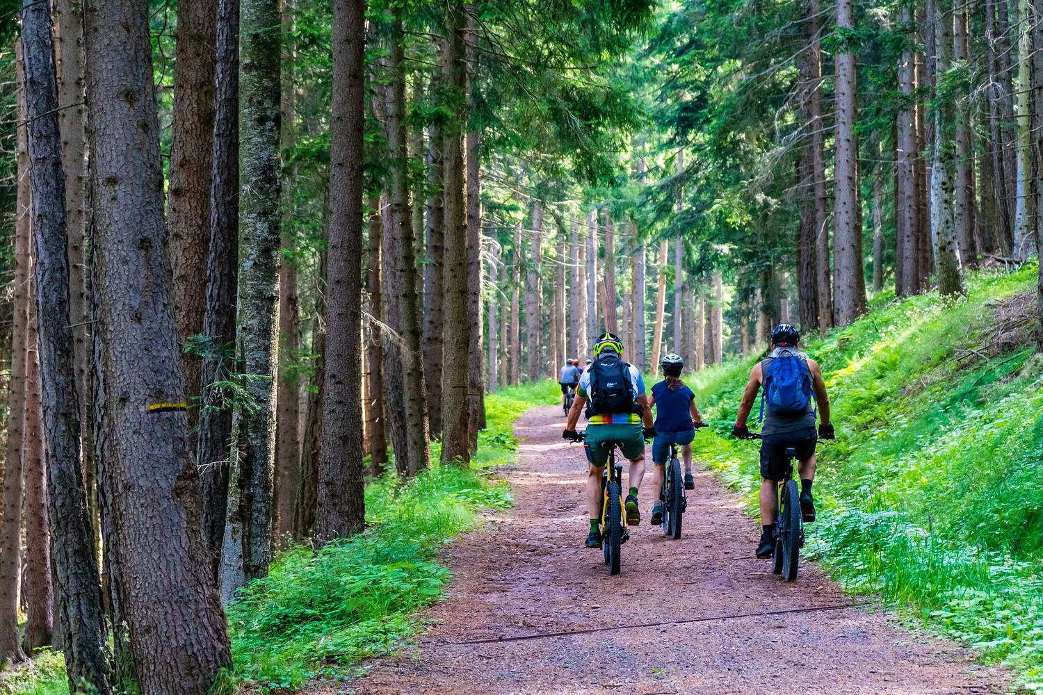 VTT, vélo