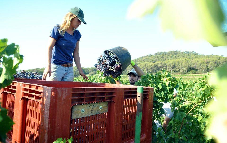 Quand Culture rime avec Agriculture ...