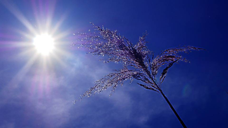 Vigilance ORANGE « Canicule » Pour le département des Alpes-Maritimes