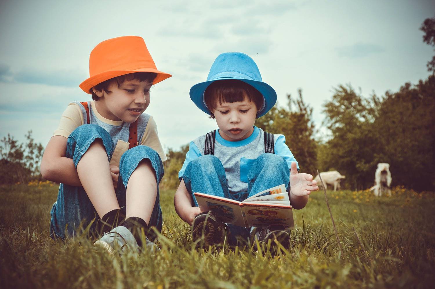 lecture, enfants