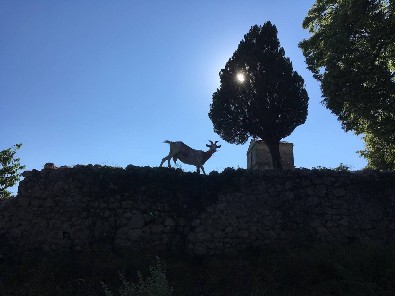 l’intelligence émotionnelle ; Visite de la Passion ; Pays de Fayence ; Seillans ; La Ferme des Cairns