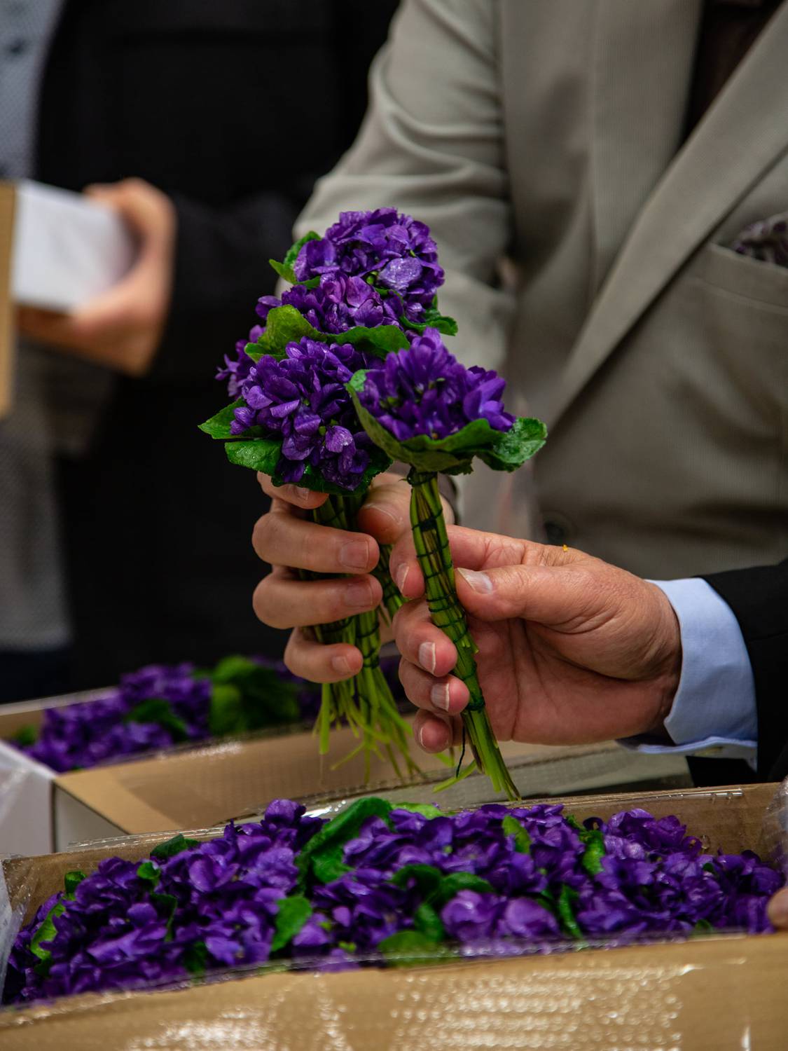 violettes, tourrettes