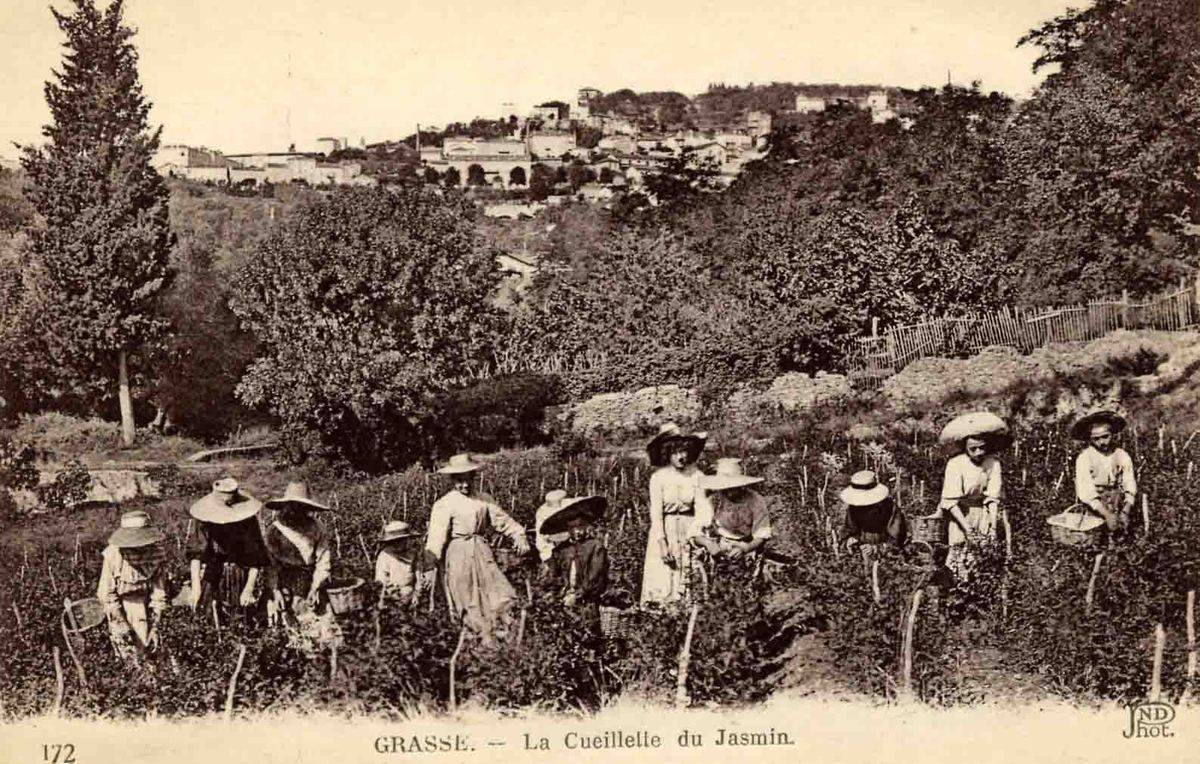 Avoir du nez ; visite guidée olfactive ; Grasse