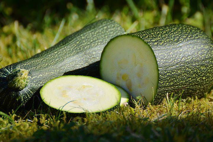 Gratin riz et courgettes