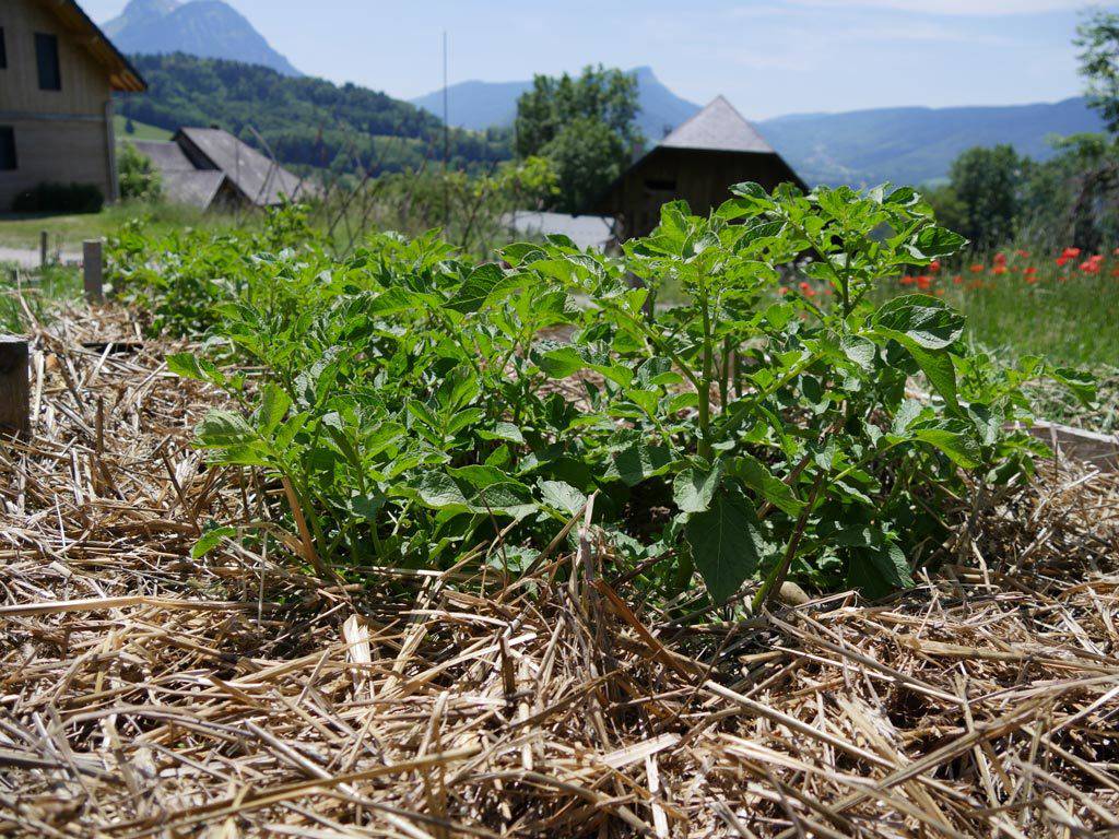 Le jardin vous réclame !