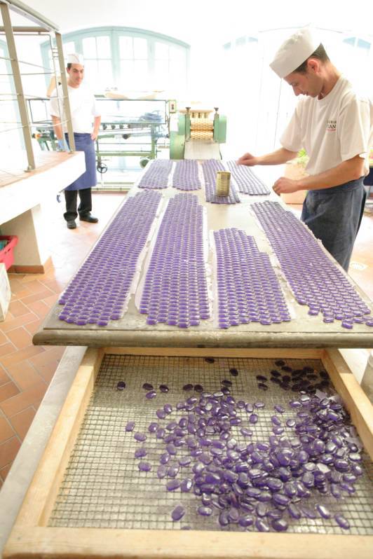 Fête des Violettes ; Tourrettes sur Loup ; Tradition ; Brissaudo ; Marché Provençal ; Défilé ; Bal ;