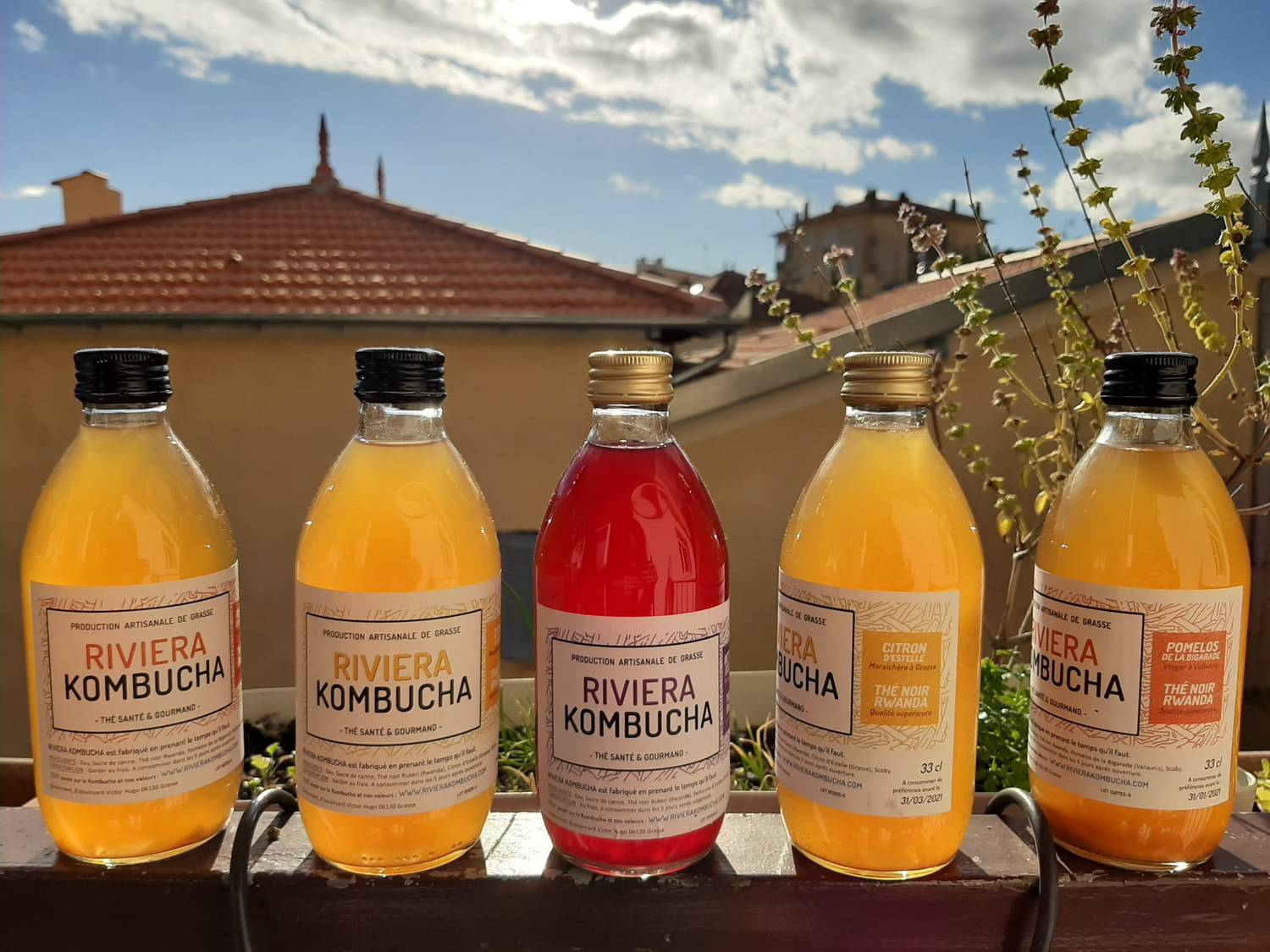 Riviera Kombucha :  la boisson fermentée 100% naturelle et surtout locale