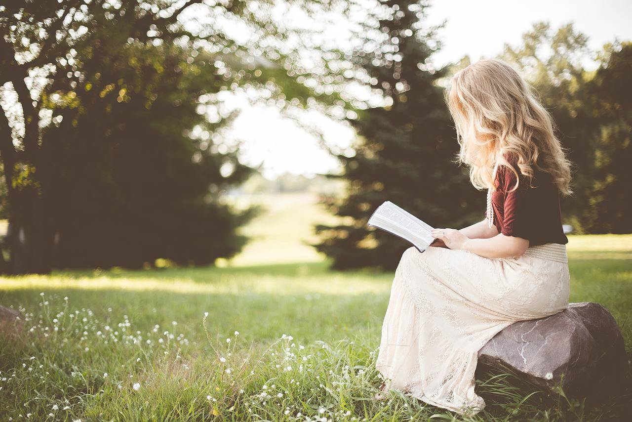 Plongez dans l'Univers Littéraire Au Salon du Livre de Tourrettes-Var