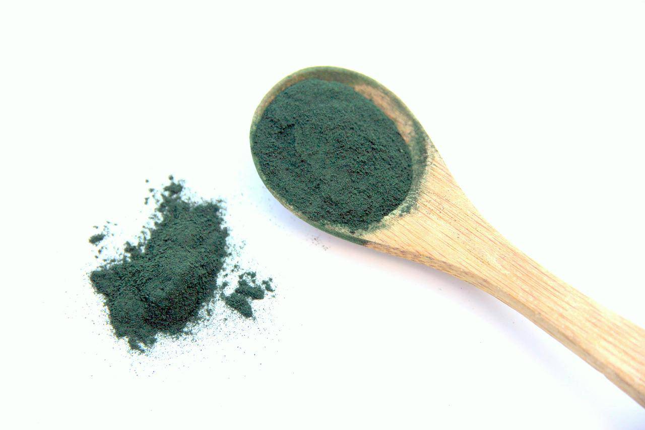 Stage de culture de spiruline naturelle intégrée