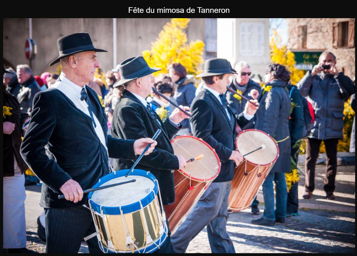 Fête du Mimosa de Tanneron