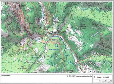 Planter les forêts de demain ; ONF ; Pin Brutia ; Tournefort ; Pin d'Alep