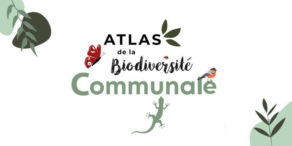 Observation des papillons ; Valbonne ; Atlas de la Biodiversité Communale