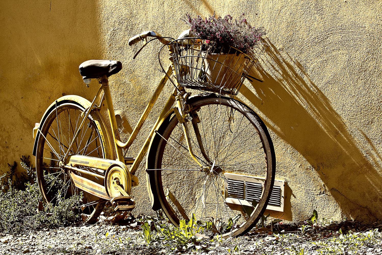 vélo, mobilité