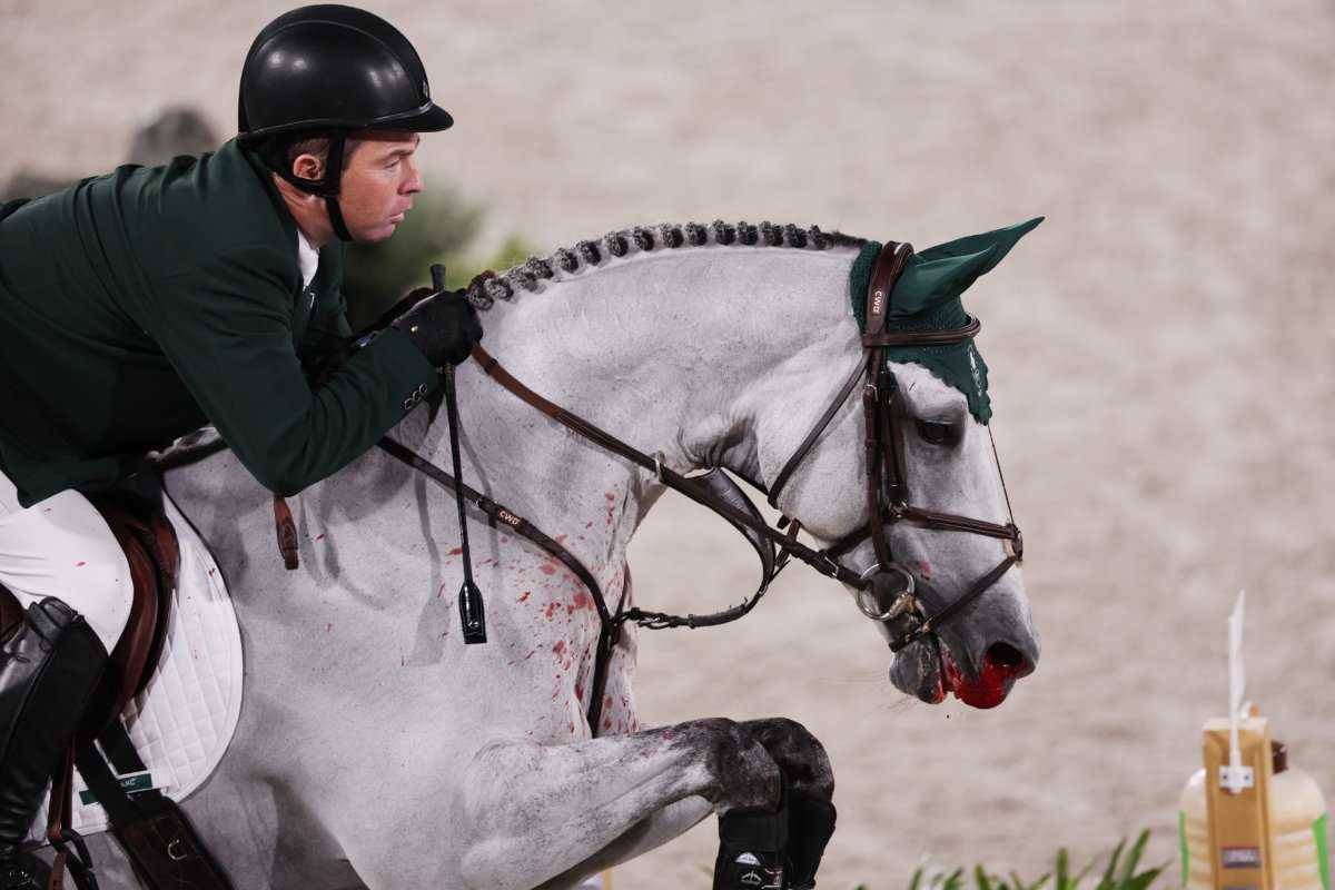 Bien-être des chevaux de compétition