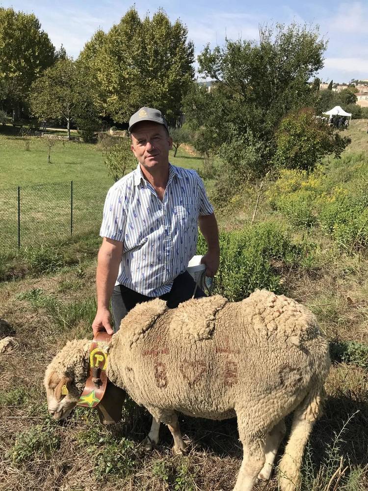 Eco-pâturage en pays de Grasse Acte II