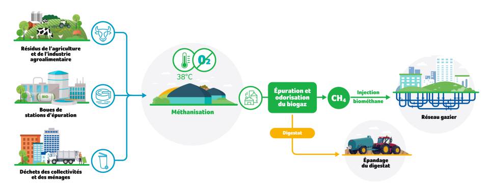 l’industrie de la parfumerie s’engage dans la décarbonisation. - the perfume industry is committed to decarbonization ; Prodarom ; GRDF ; GREEN Energy 06 ; CCI Nice Côte d’Azur