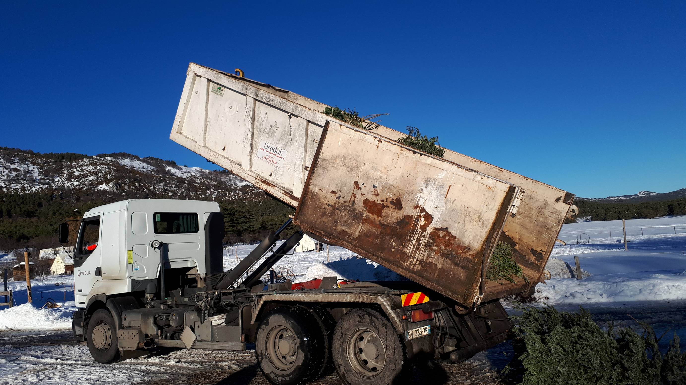 Les Entreprises des Bois de Grasse se mobilisent pour recycler les sapins de Noël