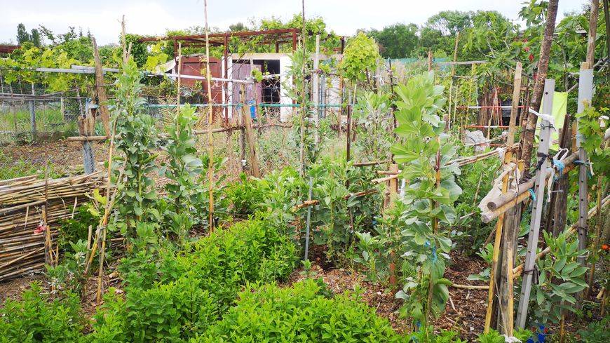 Jardinage Collectif à Grasse :