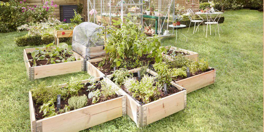 jardinage écologique ; Jardin du MIP ; Potager ; Verger ; Eau ; Espace ; Plantes pérennes.