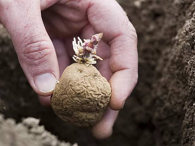 Le jardin vous réclame !