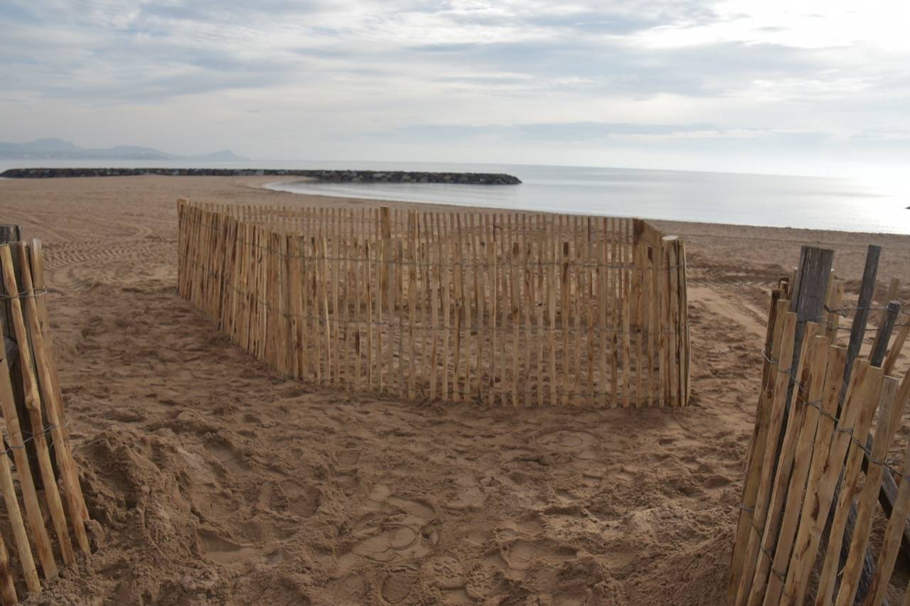 Fréjus au chevet de ses plages