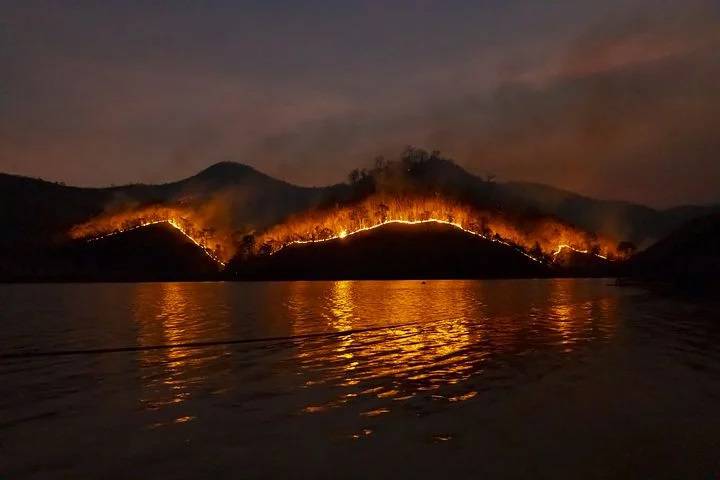 Observatoire post-incendie feux de forêts ; Côte d'Azur ; ONF ; La Garde-Freinet, Le Luc, Vidauban, Les Mayons, Le Cannet-des-Maures, La Môle, Grimaud, Cogolin