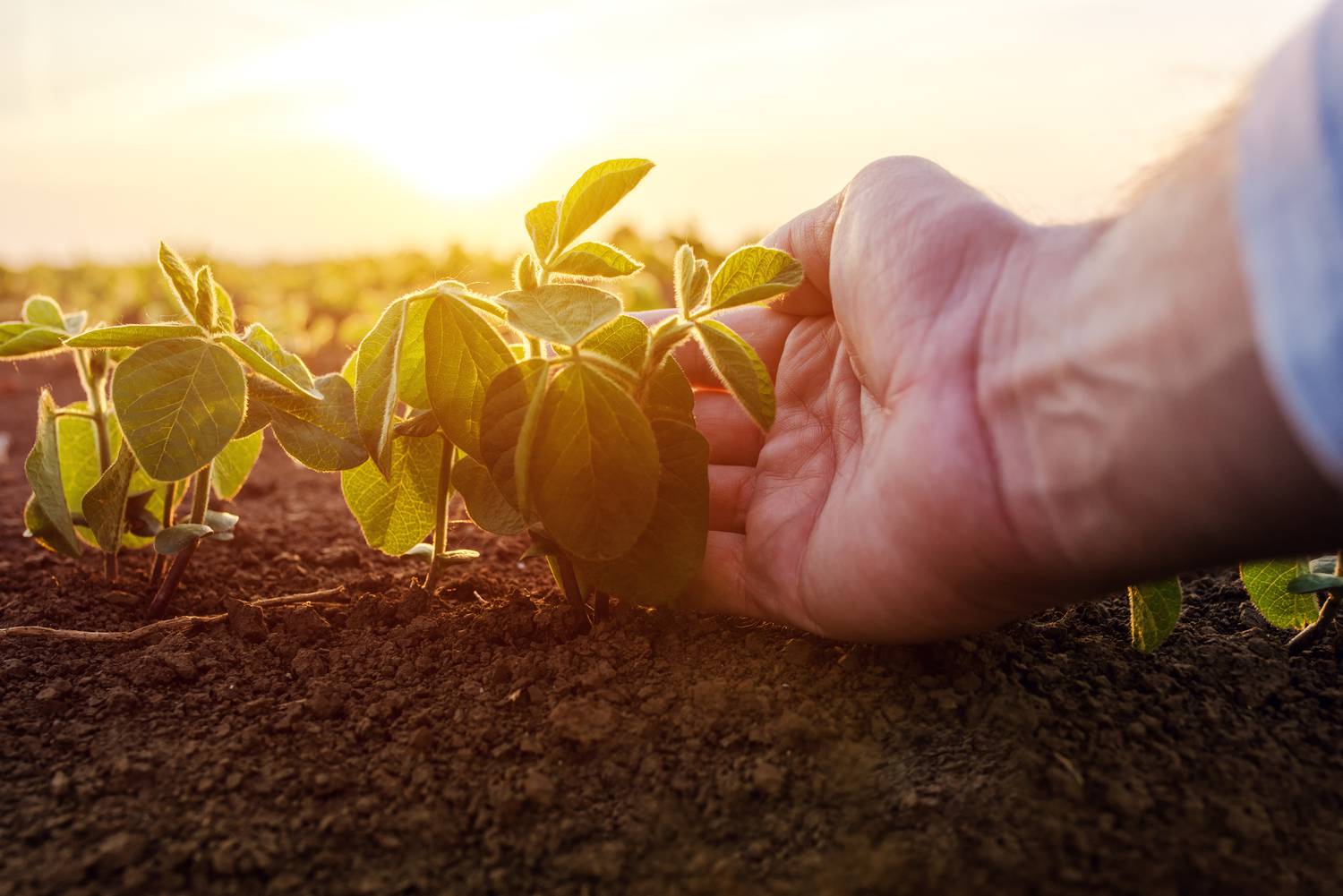 4 nouvelles Start-Up… Pour le village by CA Provence Côte d’Azur