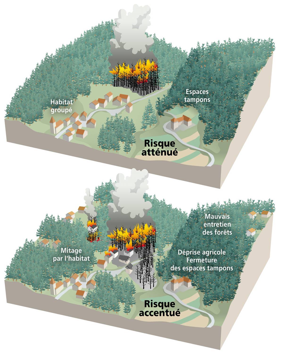 Plan de Prévention des Risques d’Incendies de Forêts