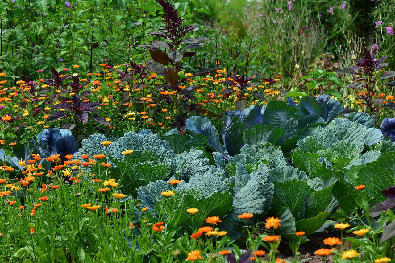 Fête des Jardins ; Briançonnet ; Harpèges ; faune ; flore ; chant diphonique de Mongolie ; potager ; Carillons ; Pique-nique.