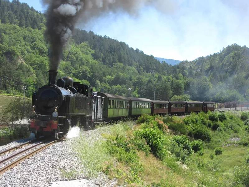 L'histoire du Train des Pignes