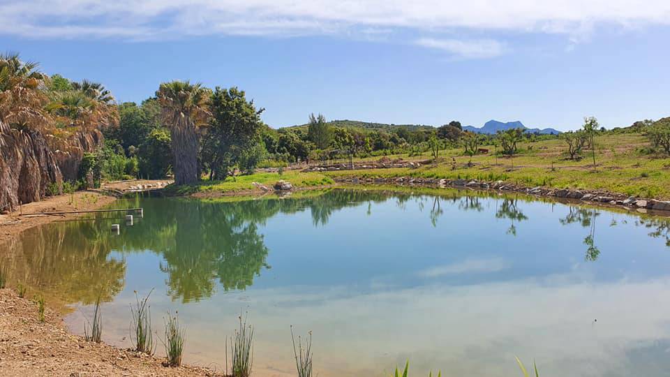 mouriès, domaine