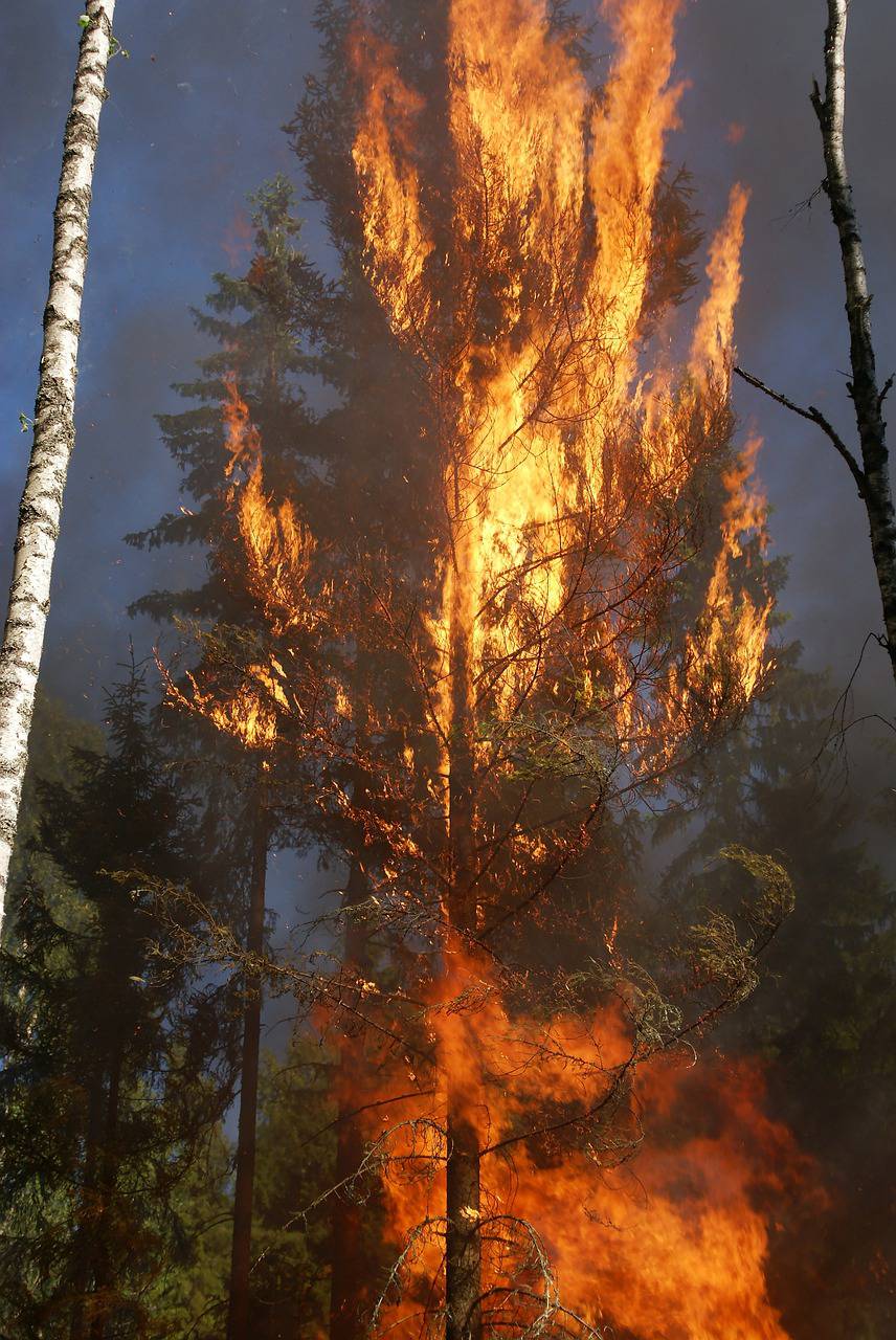 lutte contre les incendies, un combat de tous les instants !