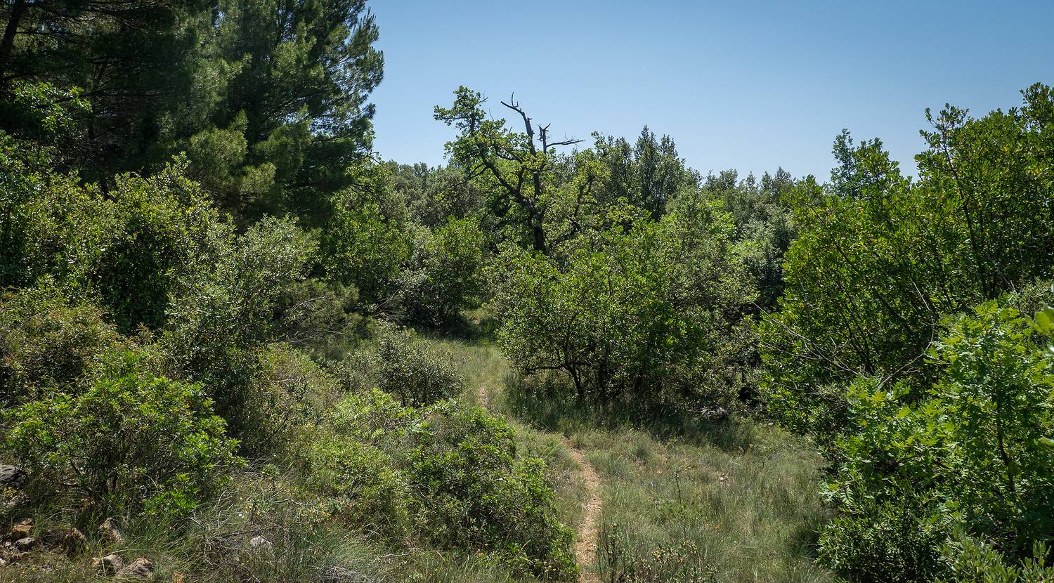 parc naturel départemental de Roquevignon