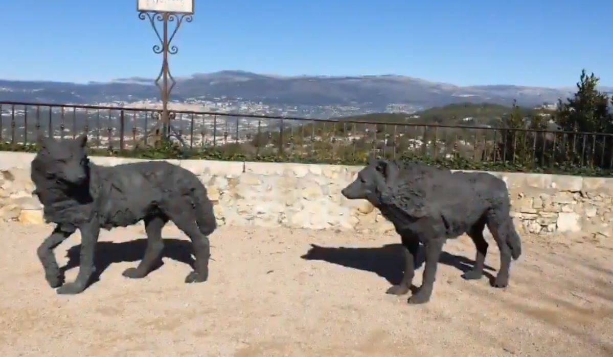 loups, animaux