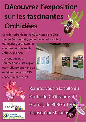 exposition, orchidées