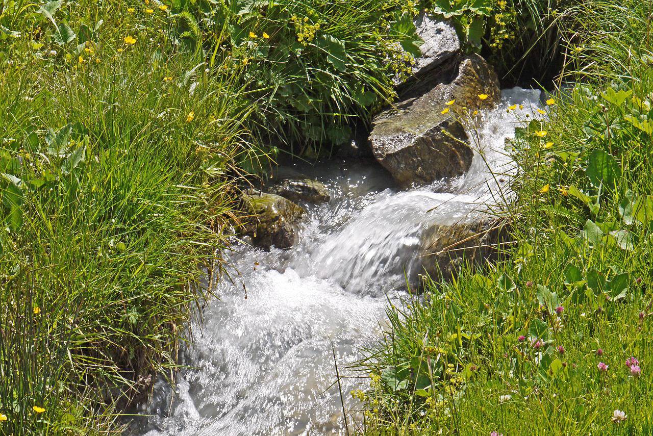 Cryptosporidium ; Saint-Cézaire-sur-Siagne ; Peymeinade ; Le Tignet ; Spéracèdes ; Cabris;  La régie des eaux du canal de Belletrud ; chloration ; Camp-Long ; Ultraviolet ; Pierre Bornet ; Agence Régionale de Santé.