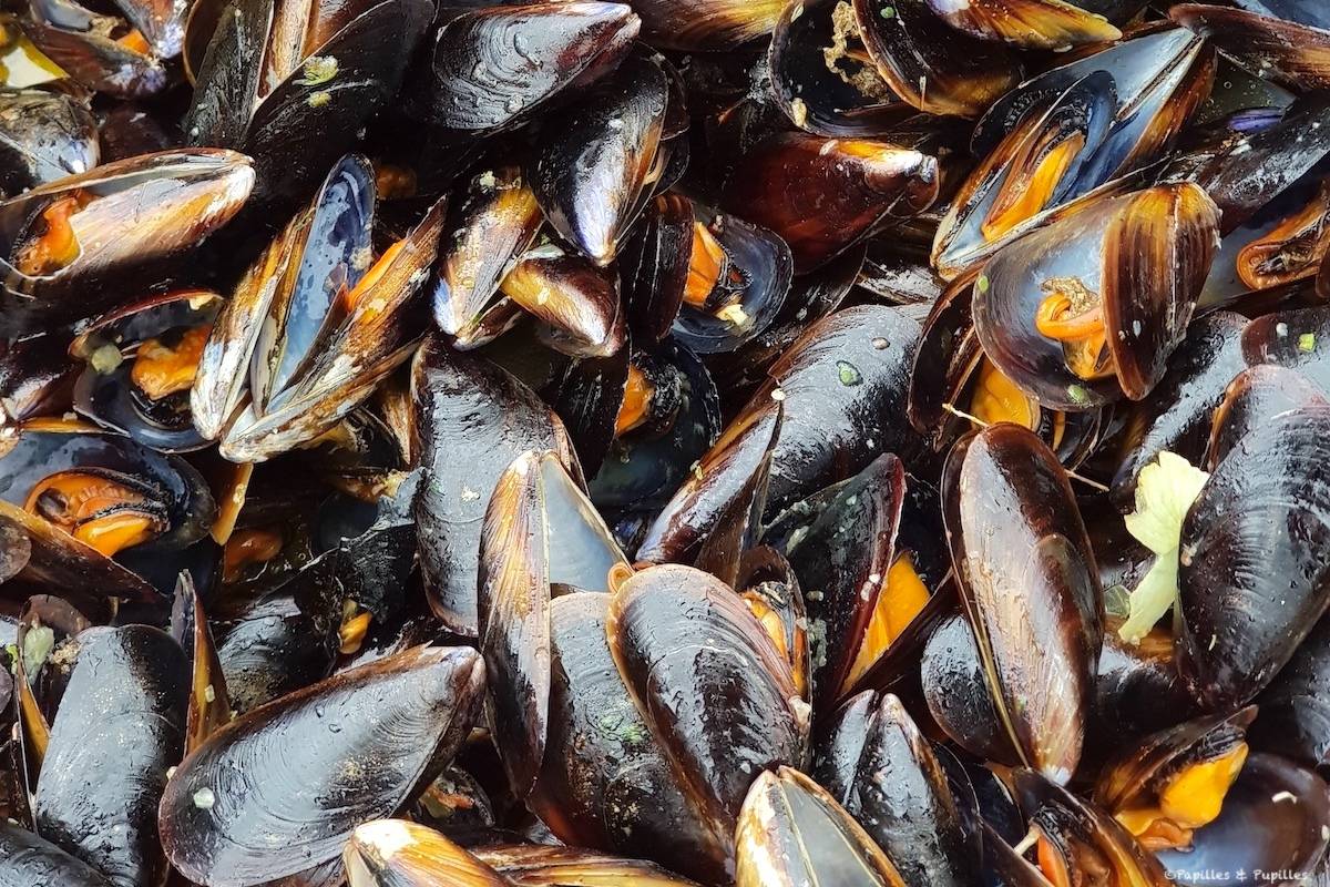 Moules marinières